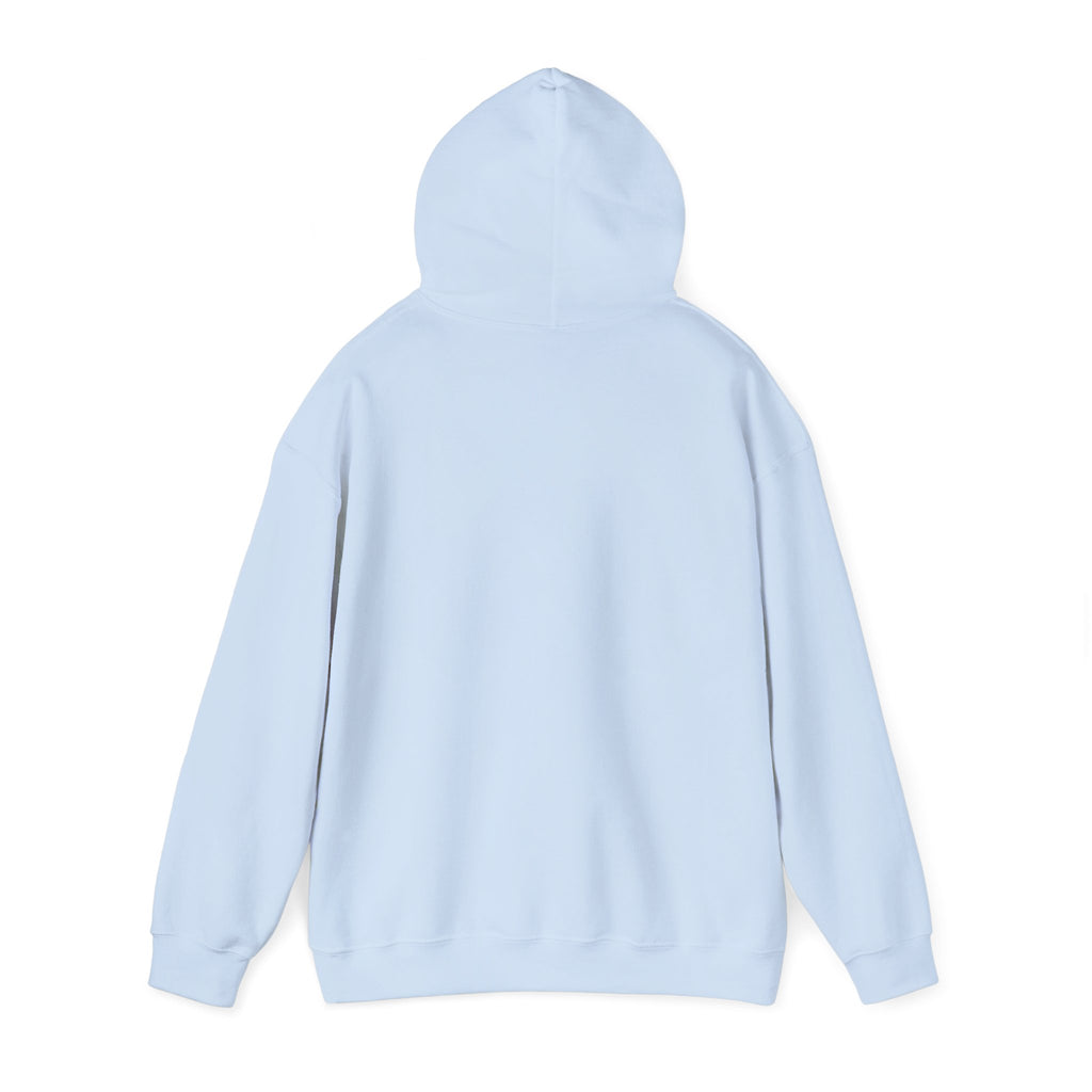 EPIC HOODIE!