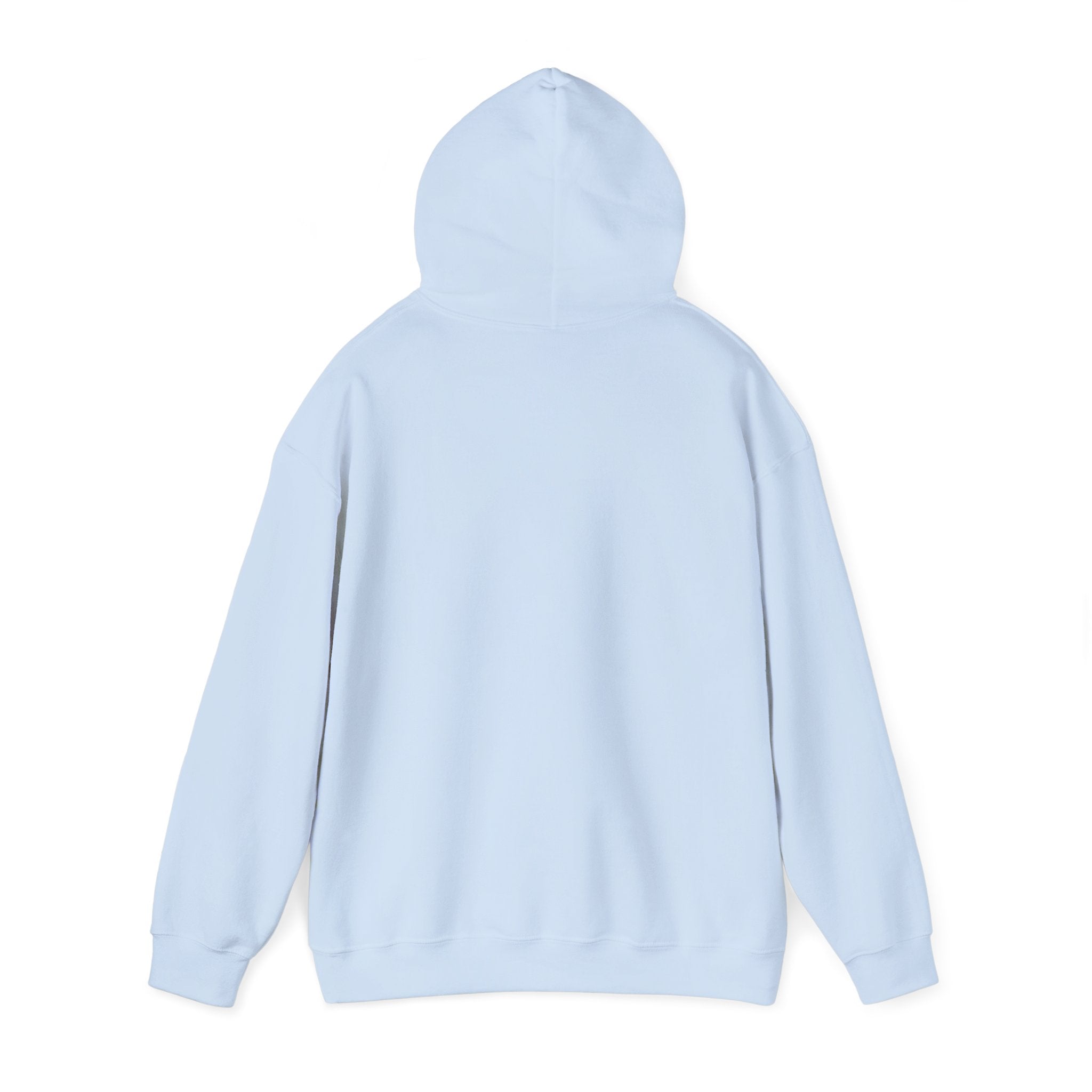 EPIC HOODIE!