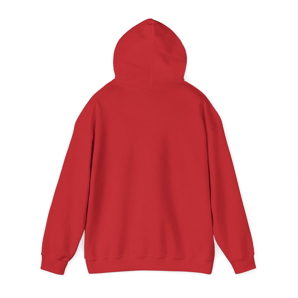 EPIC HOODIE!