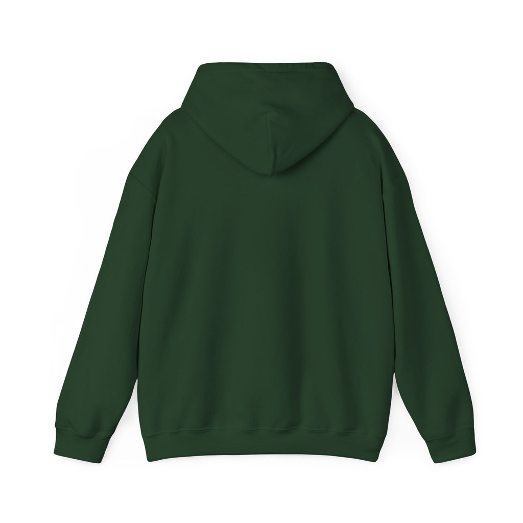 EPIC HOODIE!