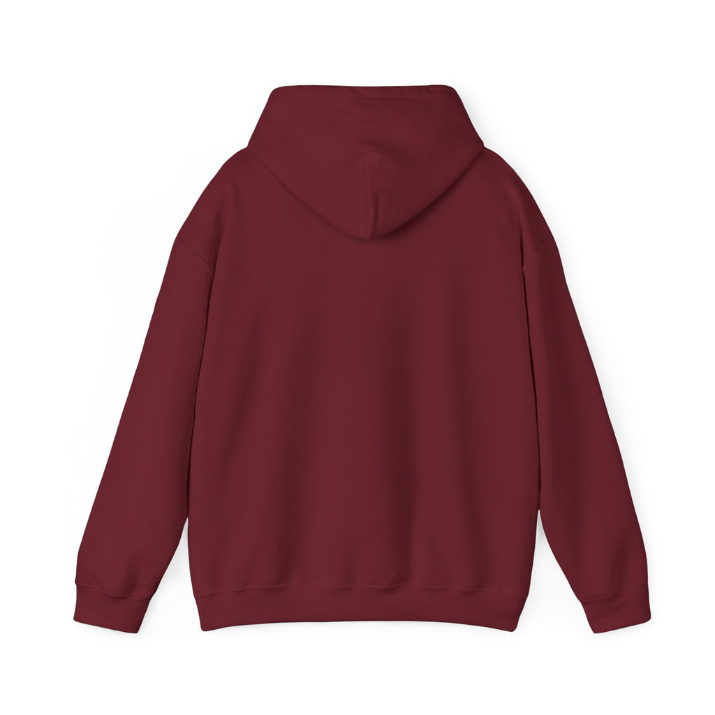 EPIC HOODIE!