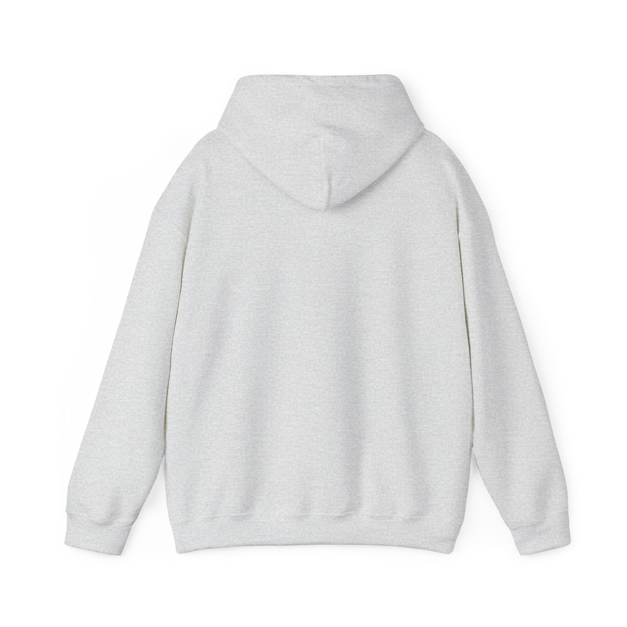 EPIC HOODIE!