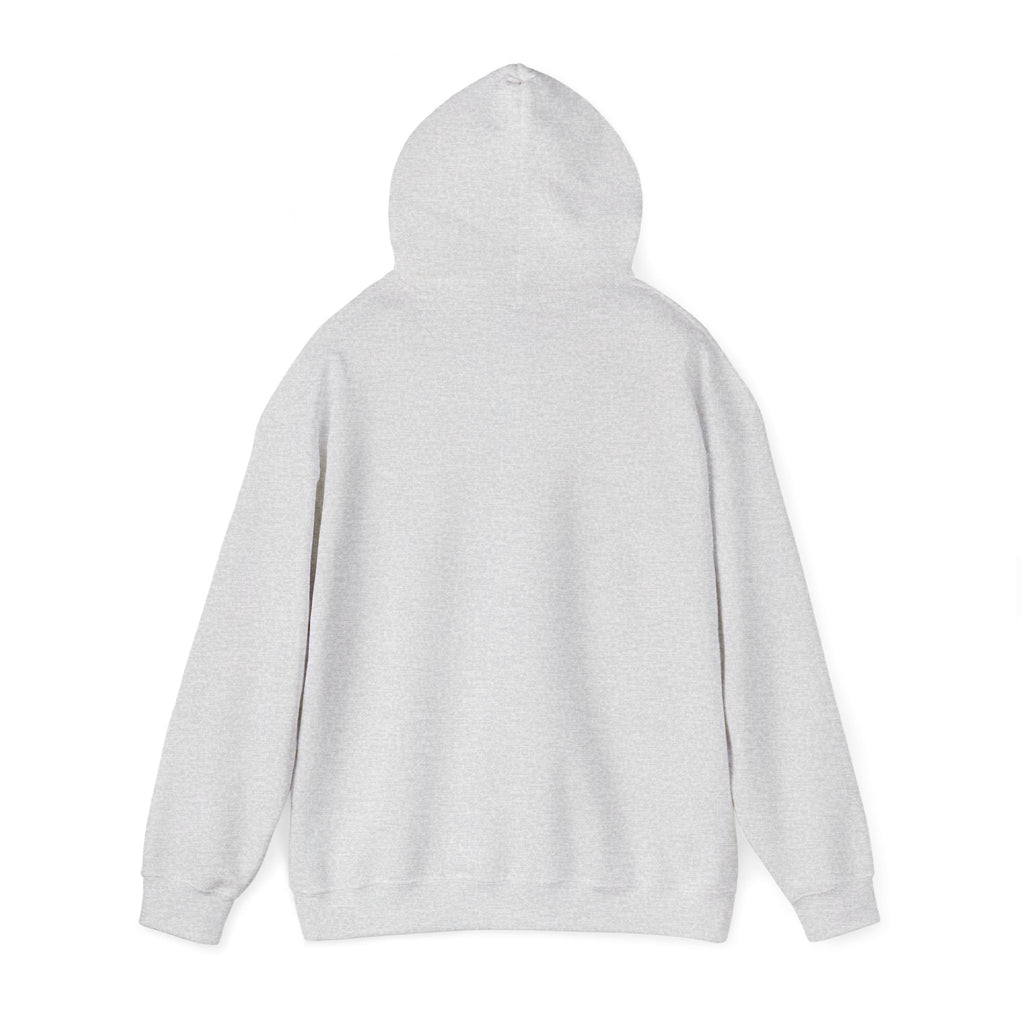 EPIC HOODIE!