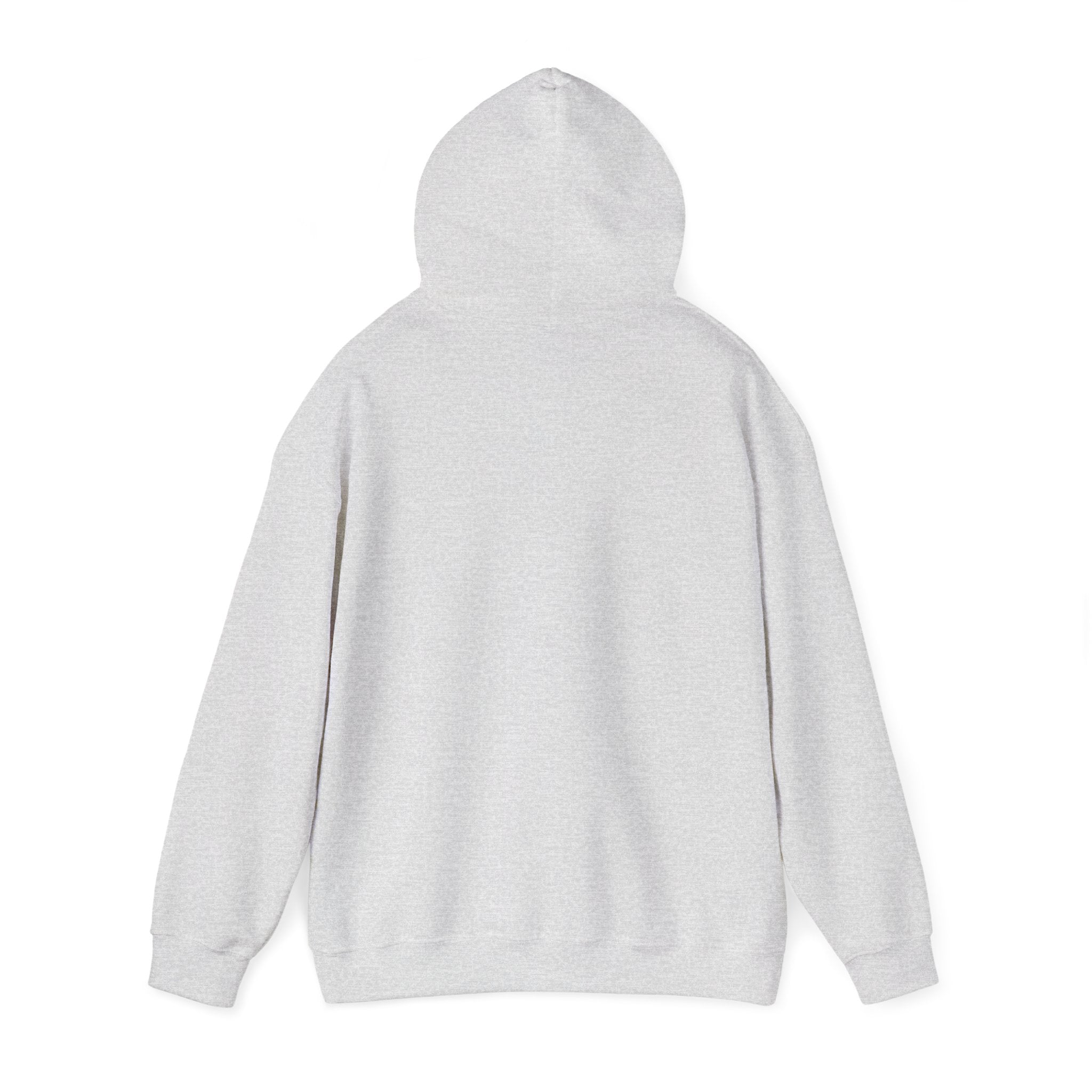 EPIC HOODIE!