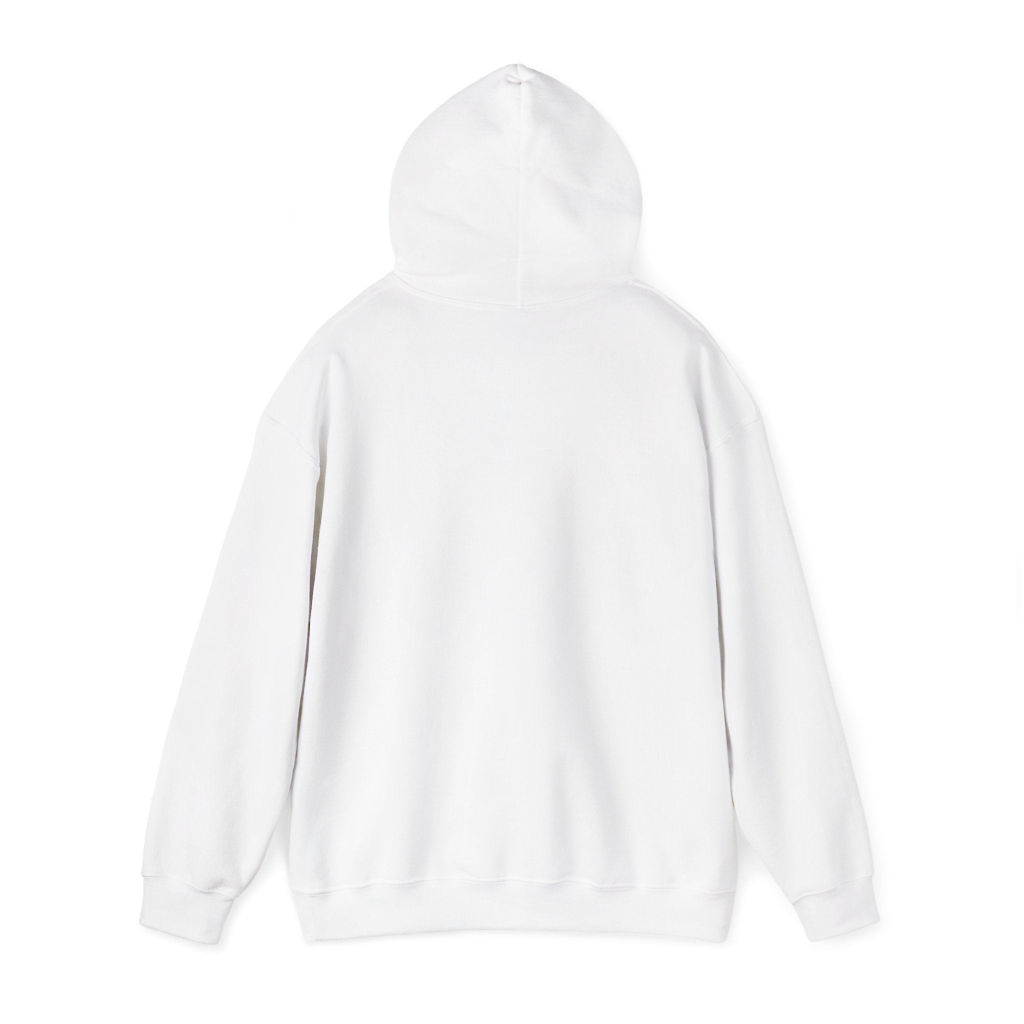 EPIC HOODIE!