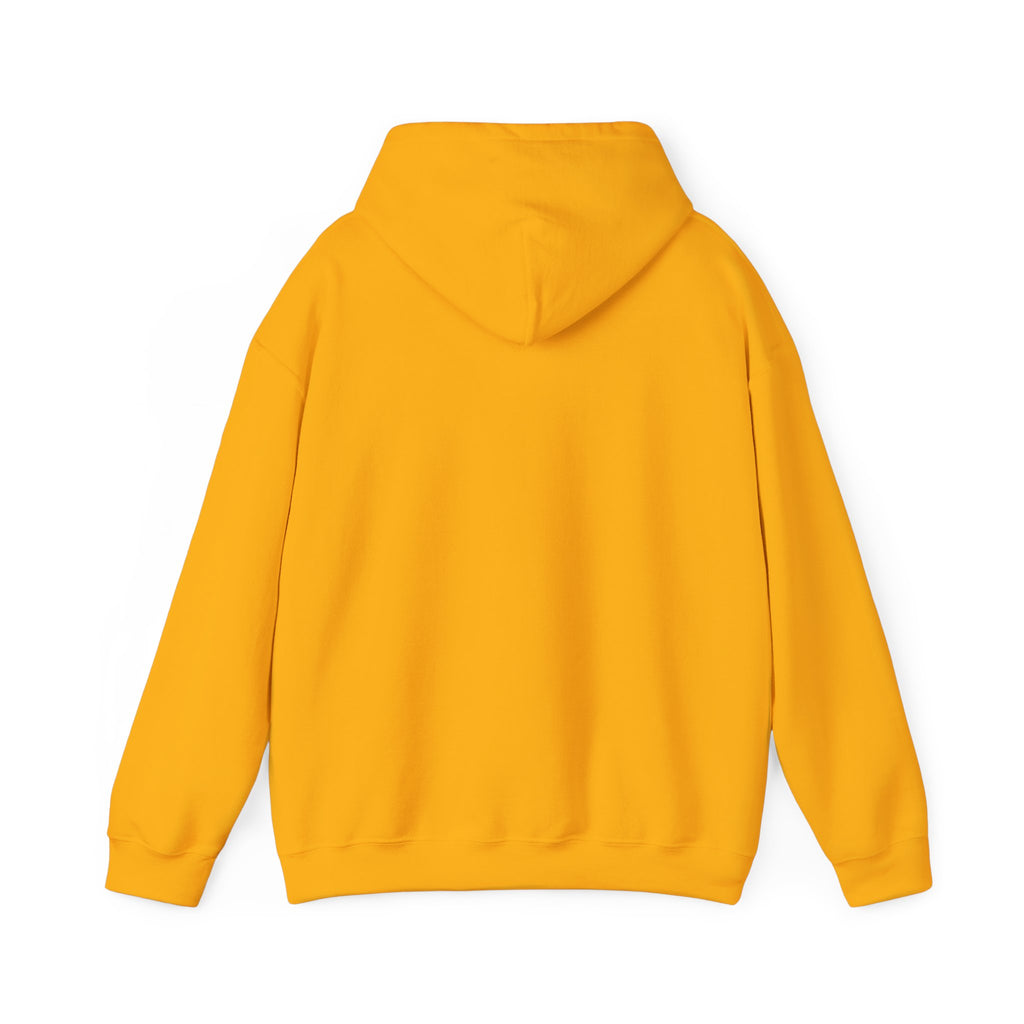 EPIC HOODIE!