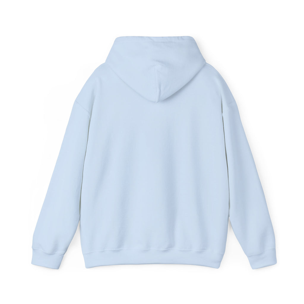 EPIC HOODIE!