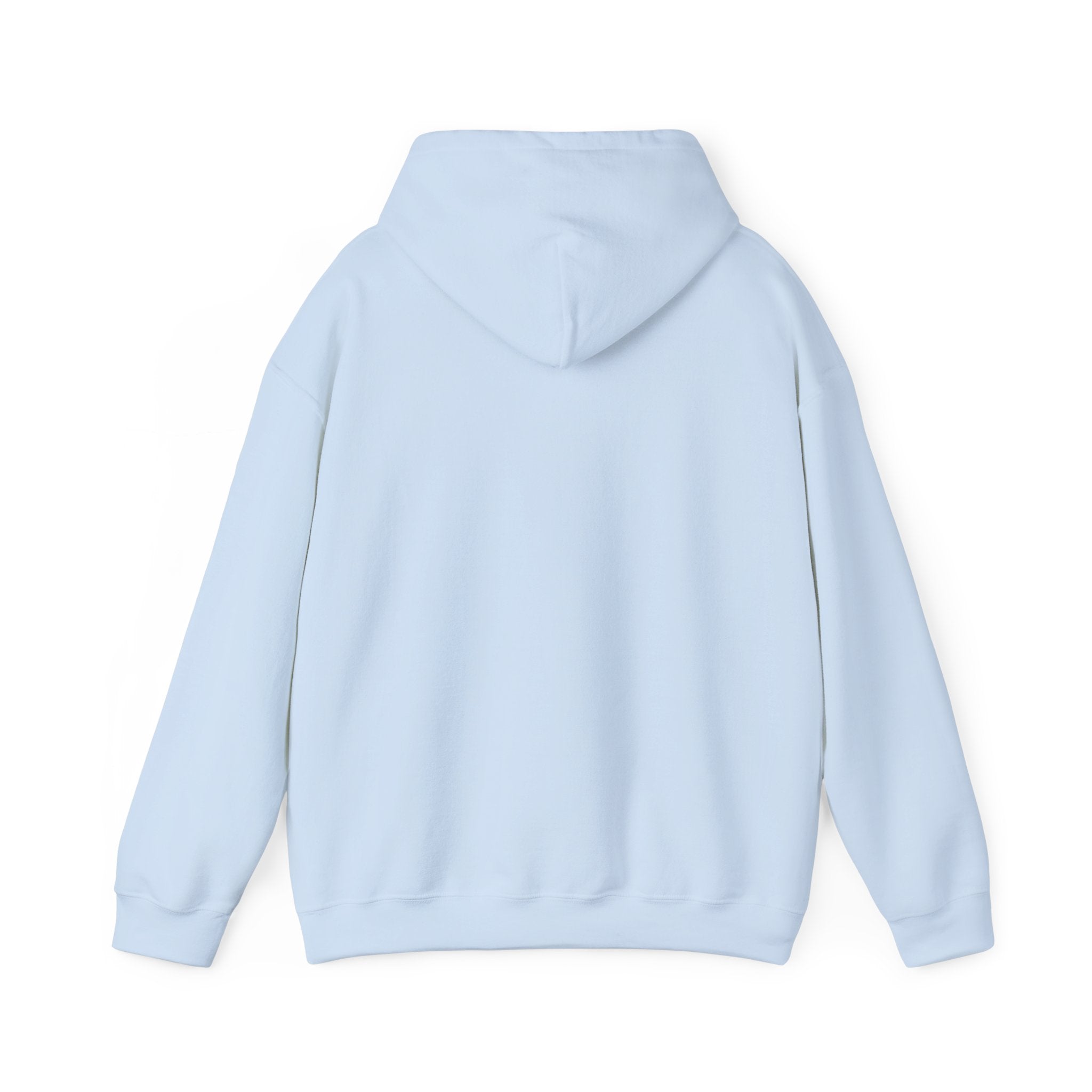 EPIC HOODIE!