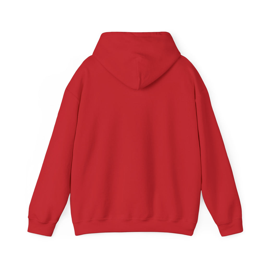 EPIC HOODIE!