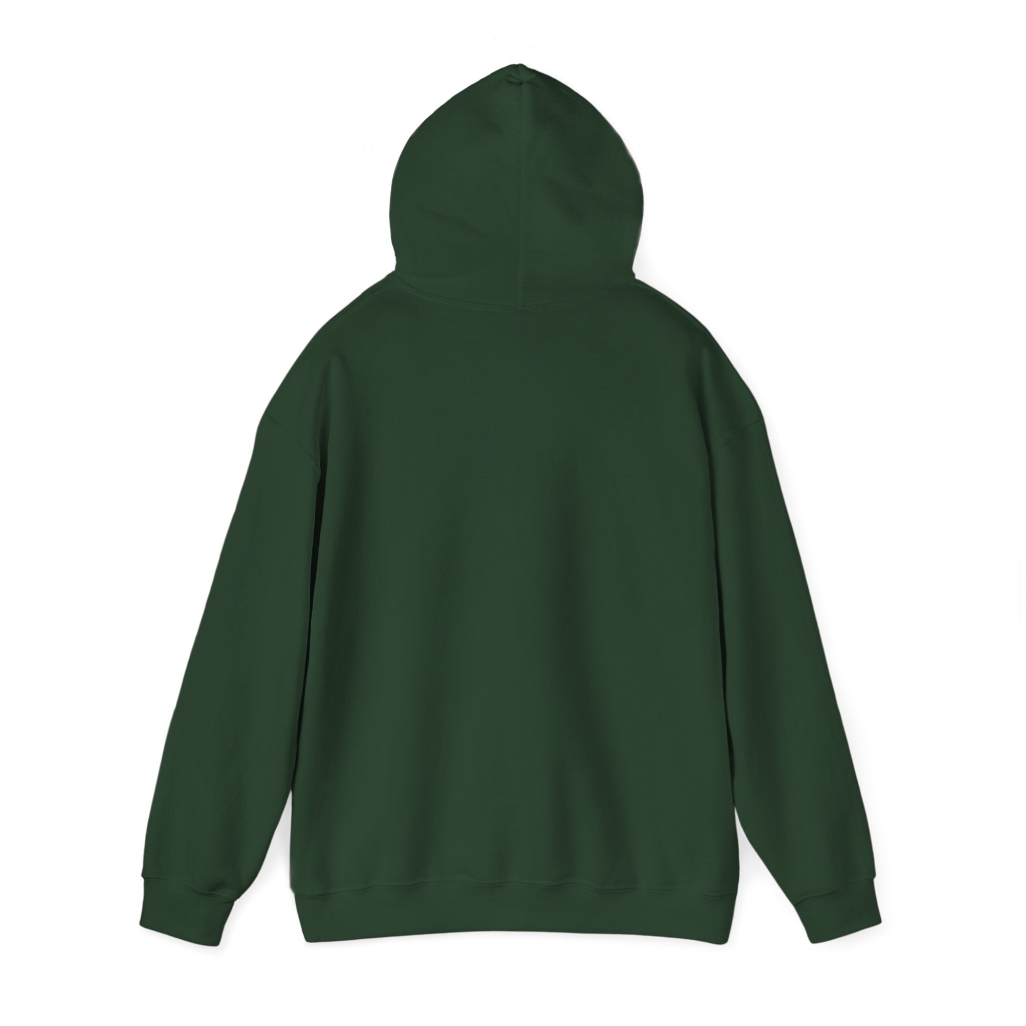 EPIC HOODIE!
